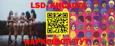 гидропоника Ипатово