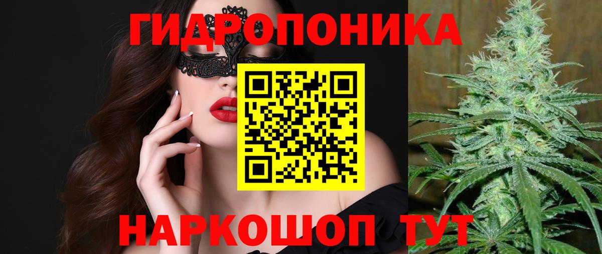 Клин  Канабис OG Kush  Шишки марихуана SATIVA & INDICA  Вход с VPN  Канабис планчик 